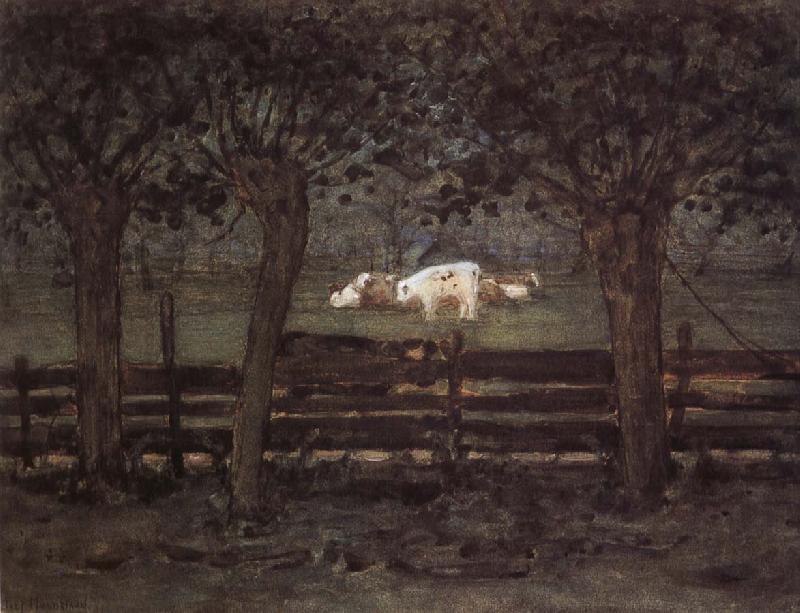 Piet Mondrian White cow oil painting image